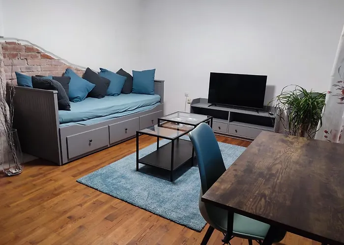 Apartment Gemuetliche Zwei-zimmer-wohnung Am Regnitzufer
