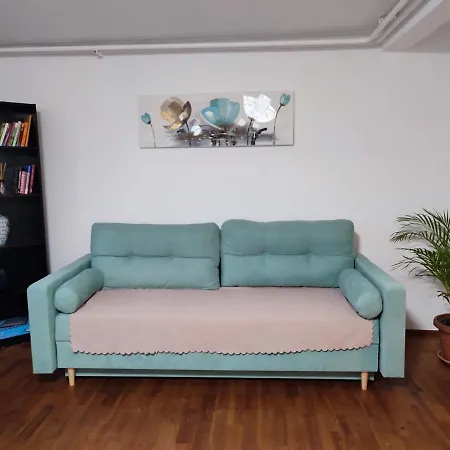 Gemuetliche Zwei-zimmer-wohnung Am Regnitzufer Апартаменты Бамберг